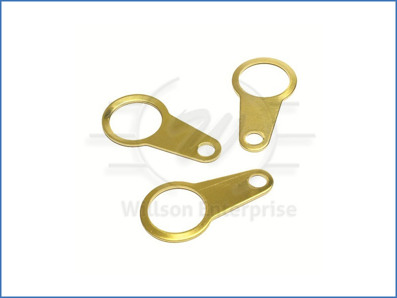 Brass Earth Tags